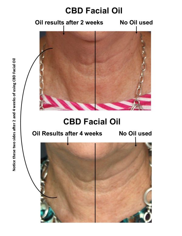 CBD Facial Oil Deborahs Collection